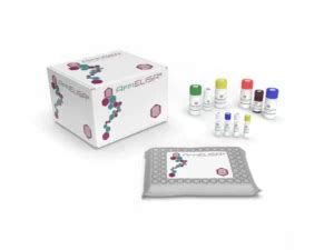 Allopregnanolone ELISA Kit 